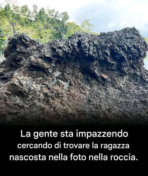 un’illusione ottica sbalorditiva”