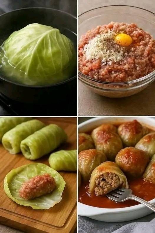 Ricetta degli involtini di cavolo ripieni