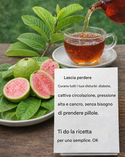 Foglie che alleviano tutti i tuoi disturbi: diabete, cattiva circolazione, pressione alta e cancro, senza bisogno di farmaci.