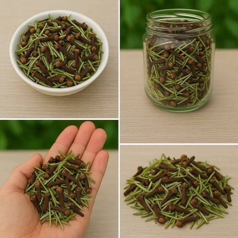 Mescolare rosmarino e chiodi di garofano: un rimedio semplice e naturale