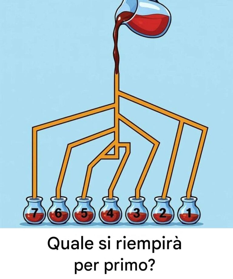 Un enigma per i più attenti: riuscite a indovinare quale serbatoio si riempirà per primo?