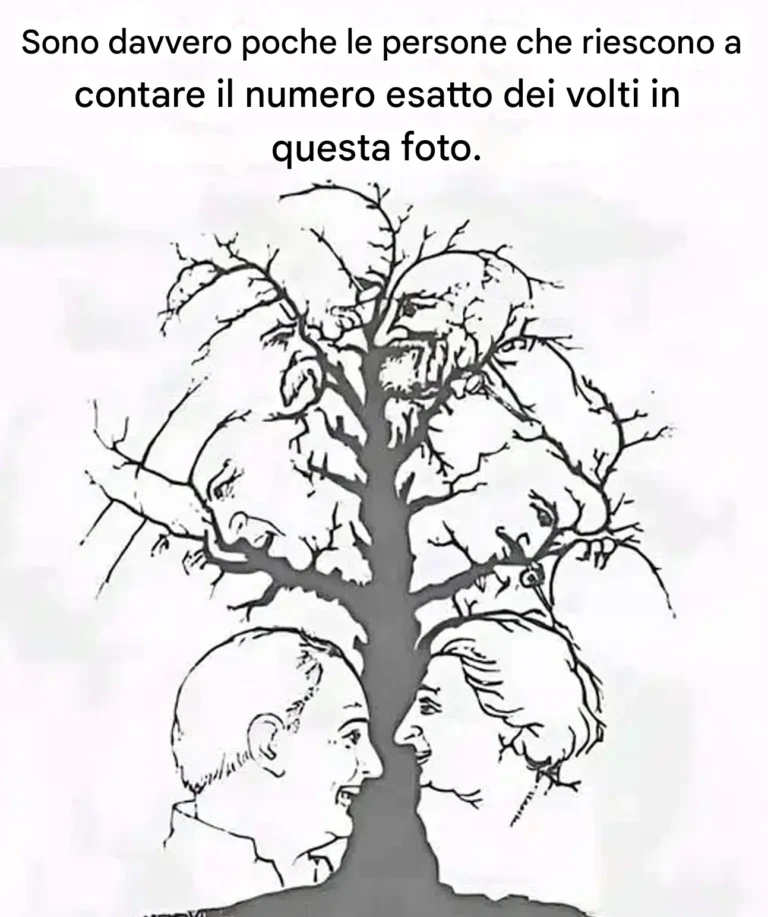 Se riesci a identificare tutti i volti nascosti in questa illusione in meno di dieci secondi, hai una vista eccezionale.