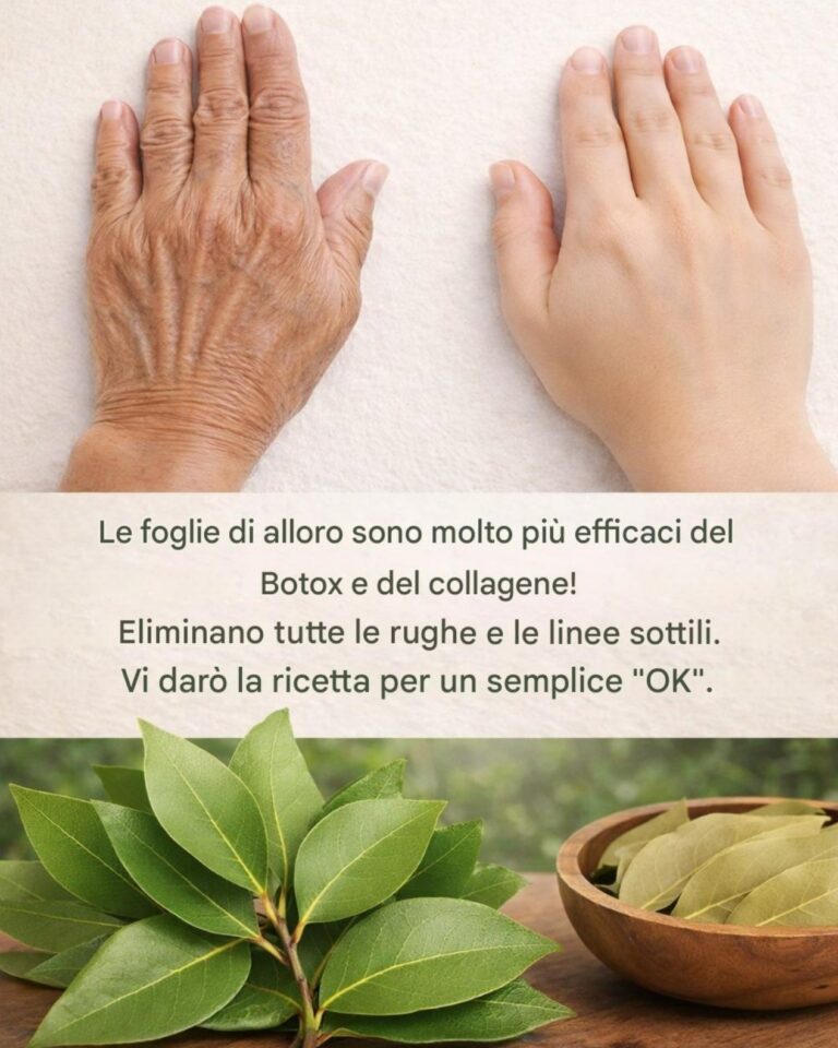 Foglia di alloro: il segreto della natura per una pelle giovane e senza rughe!