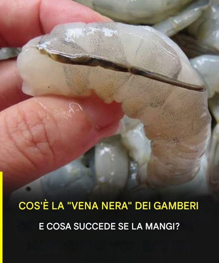 La “vena” del gambero: il dettaglio culinario che pochi conoscono e di cui molti discutono