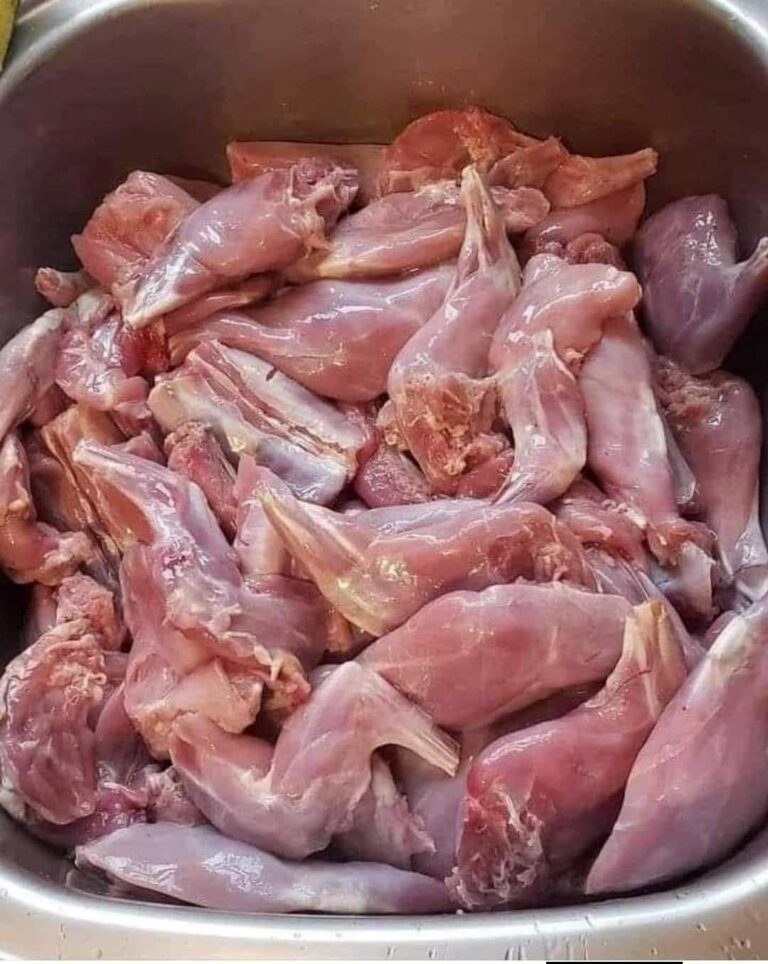 L'immagine mostra zampe piccole e molto sottili, con ossa sottili e poco grasso. Sono strette e leggermente curve, tipiche delle cosce di rana (carne di rana).  Caratteristiche:  Zampe di rana molto piccole  Ossa sottili  Grasso appena visibile  Scopri di più Carne e Frutti di Mare Gastronomia e cibi speciali Carne Superficie liscia, colore rosa chiaro  In alcuni paesi, le cosce di rana sono considerate una prelibatezza e hanno un sapore simile a quello del pollo.  Se vuoi, posso anche spiegarti come prepararli o come identificarli.