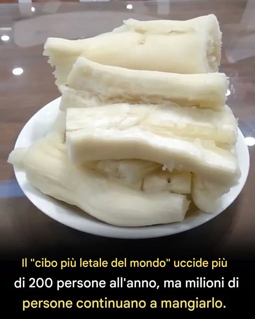 Ogni anno oltre 200 persone muoiono a causa del “cibo più letale del mondo”, ma quasi 500 milioni di persone continuano a mangiarlo.