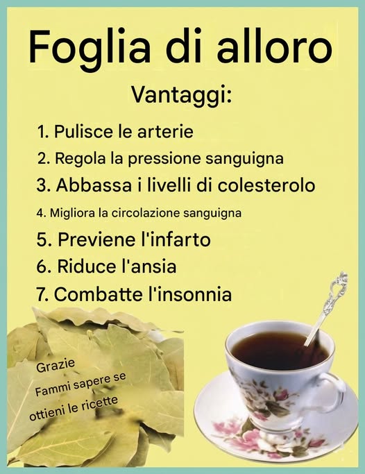 Foglia di alloro Ricetta completa nei commenti