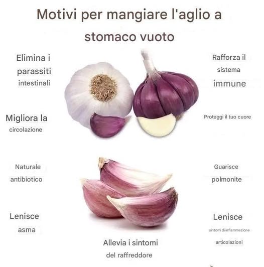 Mangiare l’aglio a stomaco vuoto: un potente rimedio naturale per la salute