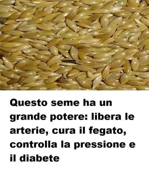 dettagliata e coinvolgente per mantenere alto